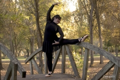 DANZA