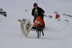 MUSHING